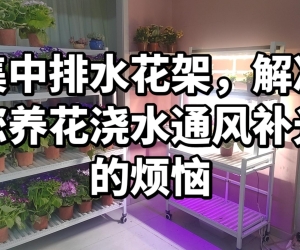 花友们的养花神器