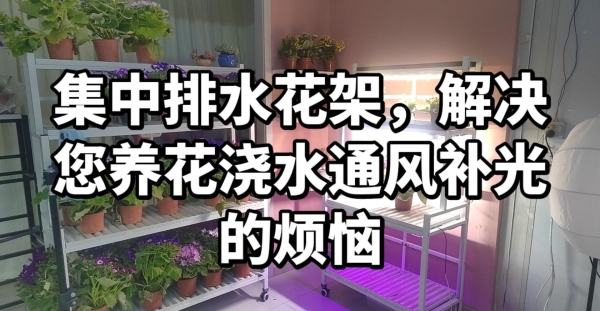 花友们的养花神器